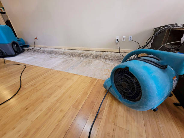 Professional Water Removal technician working in Ducktown, TN